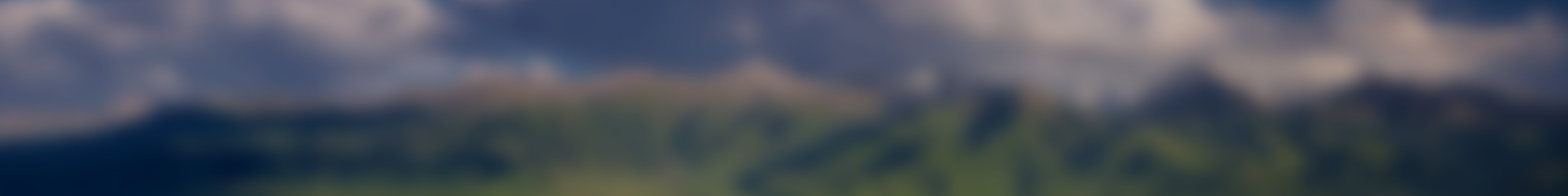 Plans header
