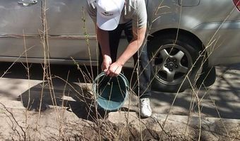 Таласта өткөн ишембилик