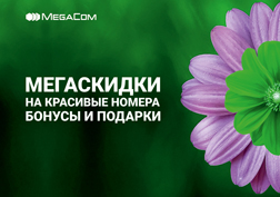 MegaCom алдыңкы мобилдик оператору 8-мартка белек камдоонун эң жөнөкөй жолдорун –ыңгайлуу акцияларды сунуштайт