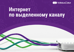 Выбирая интернет для бизнеса, важно быть уверенным в стабильном качестве связи, безопасности передаваемых данных и скорости решения технических проблем. 