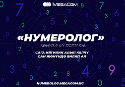 MegaCom абоненттерине кызматтын веб-версиясы жана USSD-меню жеткиликтүү