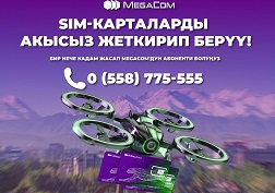 MegaCom түйүнүнө кошулууну каалап, бирок компаниянын фирмалык сатуу жана тейлөө борборлоруна барууга убактыңыз жок болуп жатабы?