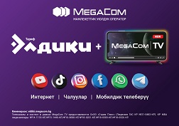 Ар бир абонент өзү үчүн зарыл болгон кызматтарды таба алат