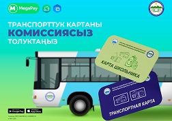 MegaPay – сиздин жашооңуздагы көп кырлуу жардамчыңыз!