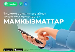 MegaPay – ишенимдүү жардамчыңыз