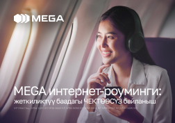 Жаңы жылга аз гана убакыт калды. Ал эми бул майрамды чет өлкөдө өткөрүүнү кааласаңыз, анда роуминг жөнүндө ойлоно берсеңиз болчудай.