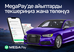 Ар бир айдоочу  канчалык кылдат, этият болсо да, эртеби-кечпи, атайын болбосо да, жол эрежесин бузуп алышы ыктымал. Айып пулдар  жоголуп кетиши мүмкүн болгон дүмүрчөк же “бакыт каттары” менен бирге келиши мүмкүн. 