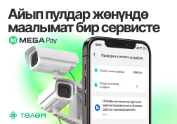 Убакытты натыйжалуу пайдалануу бааланган заманбап дүйнөдө онлайн кызматтарды колдонуу көптөгөн артыкчылыктарды берет